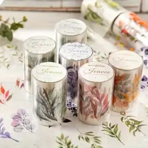 PET tape โ Transparante bladeren in 6 varianten